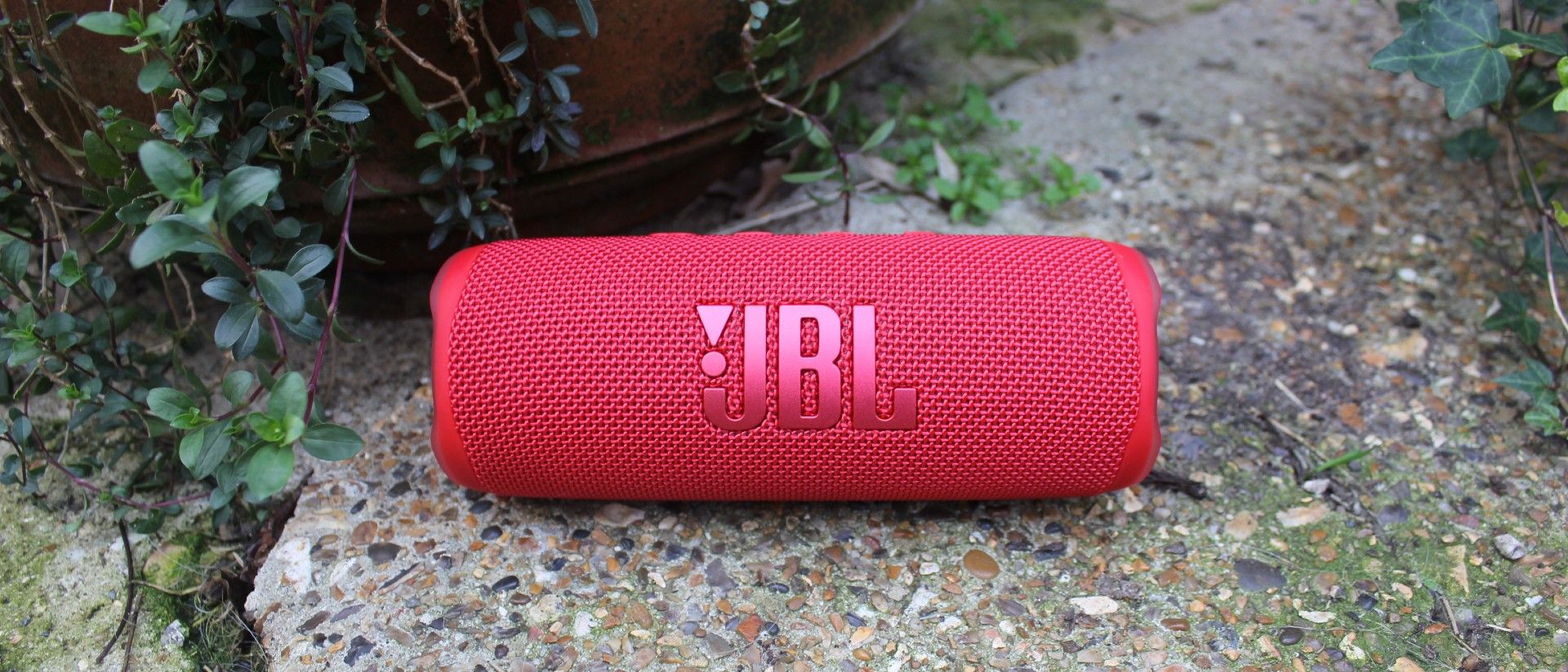JBL Flip 6