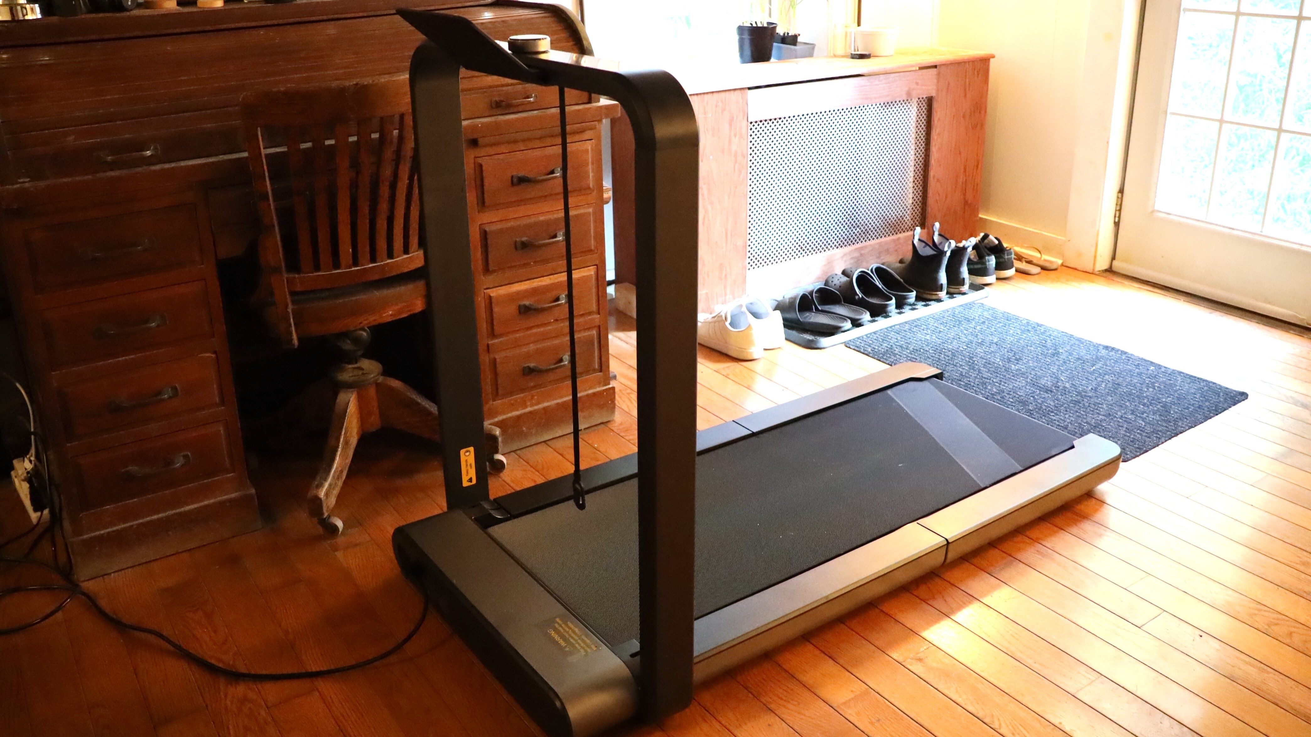 King Smith Walkingpad X21 Treadmill