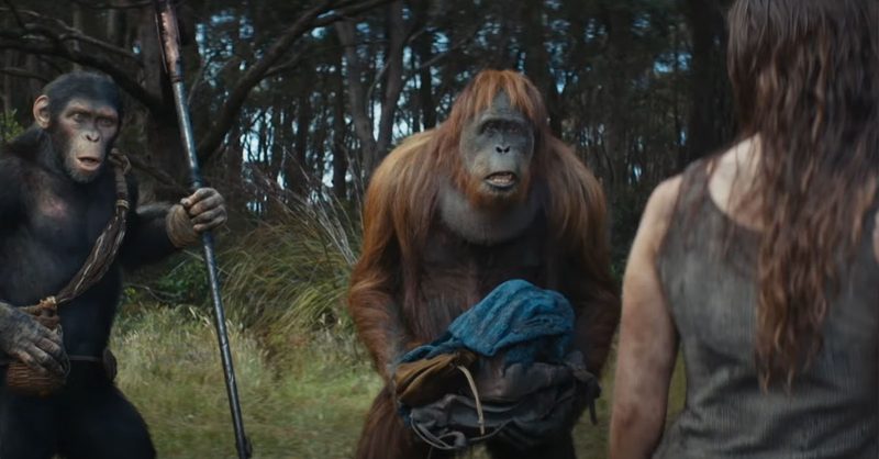 Kingdom Of The Planet Of The Apes Film