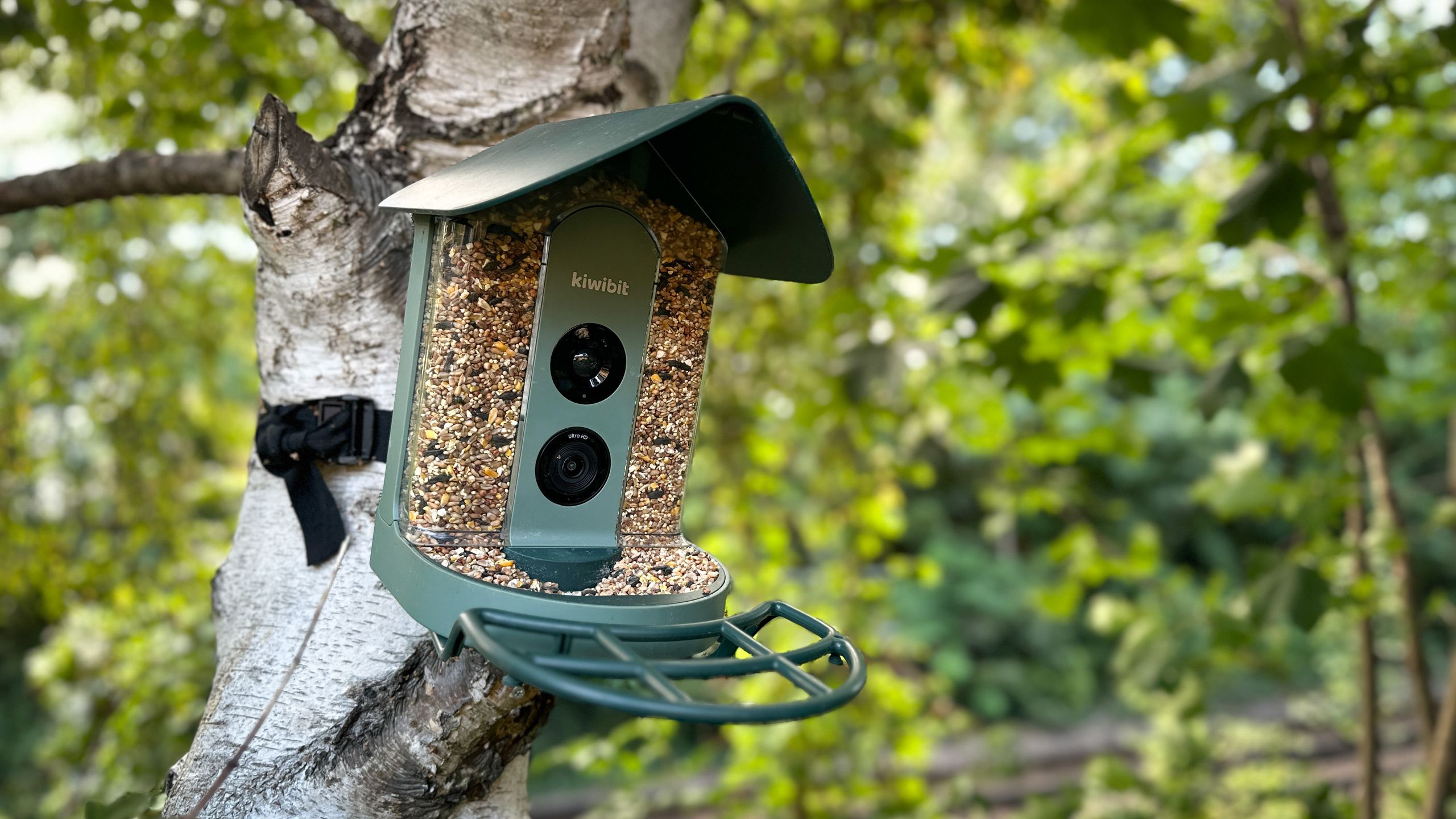 Kiwibit Beako Smart Bird Feeder