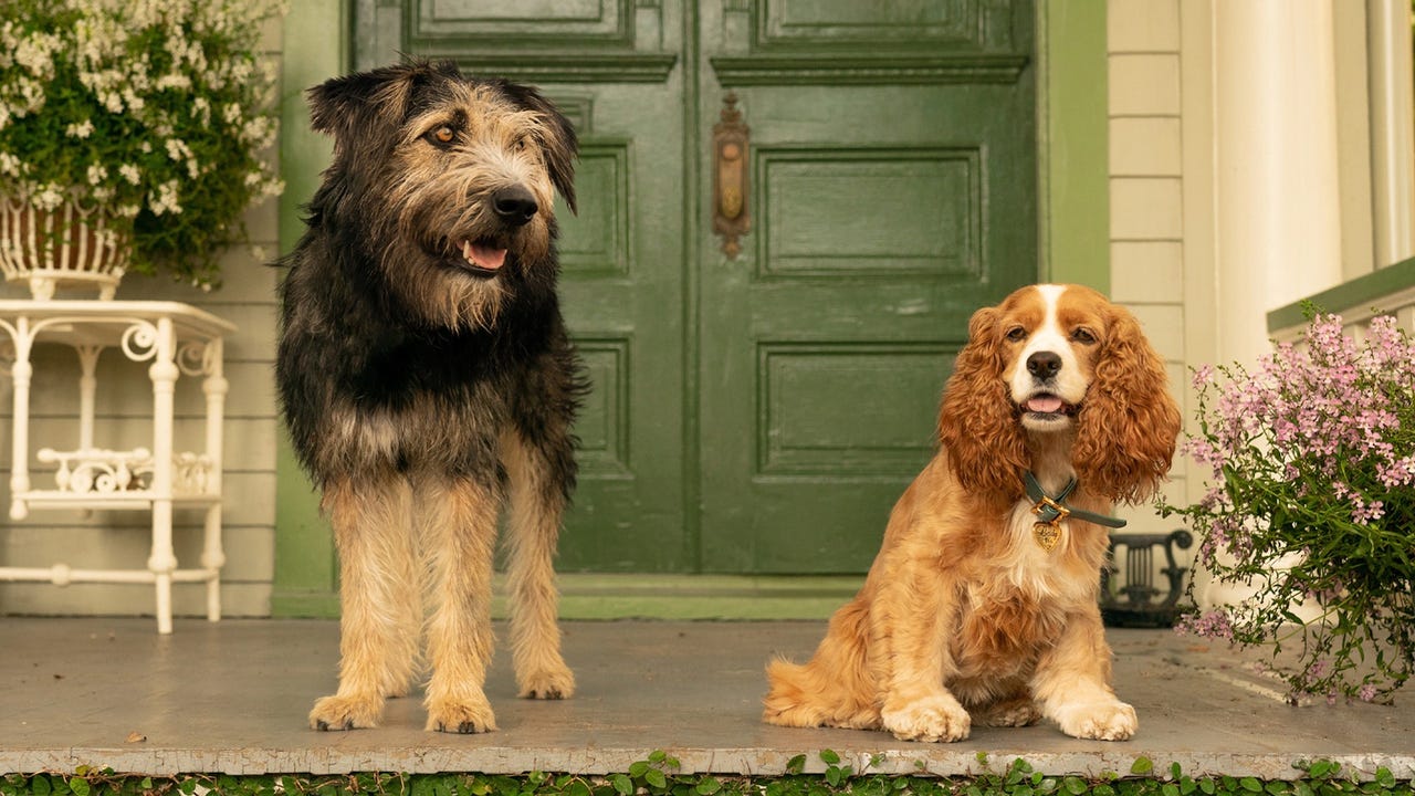 Lady And The Tramp 2019
