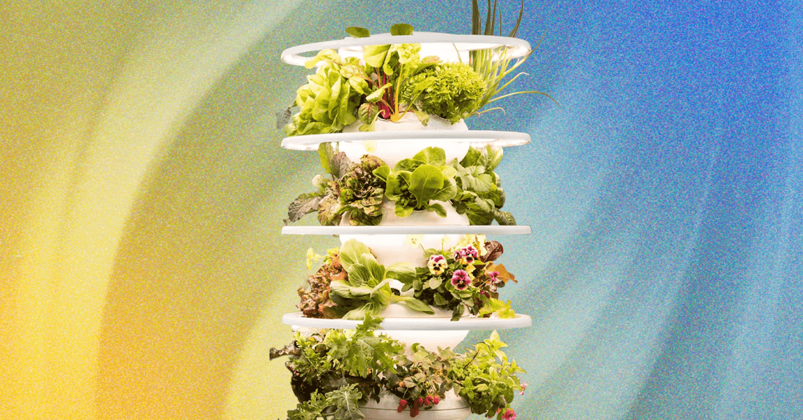 Lettuce Grow Indoor Farmstand