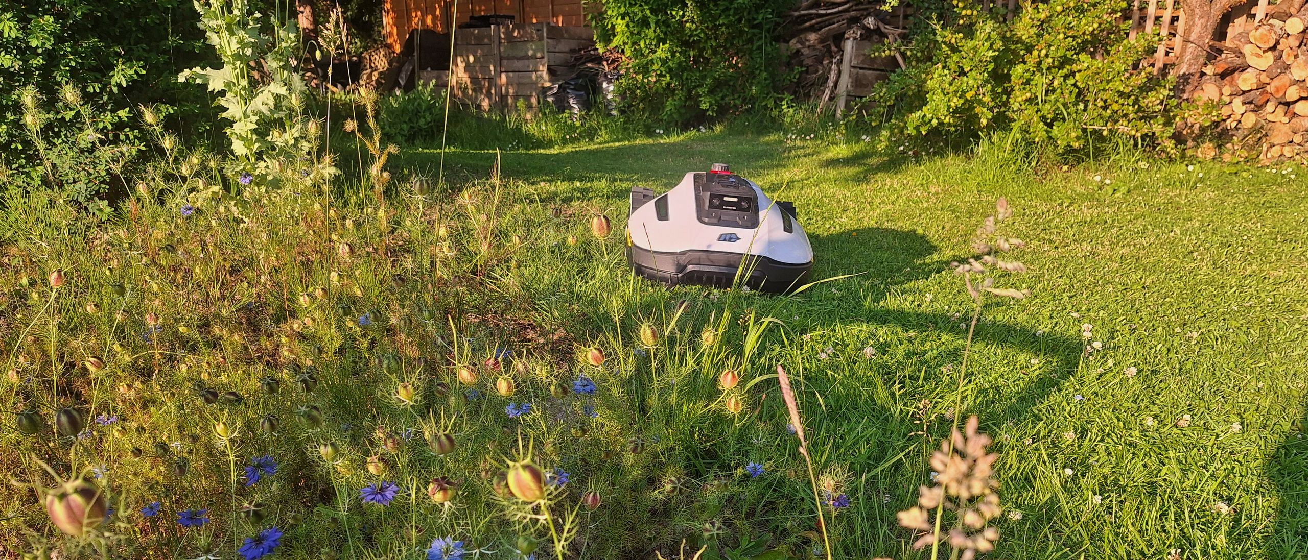 Mammotion Yuka Mini Lawnbot