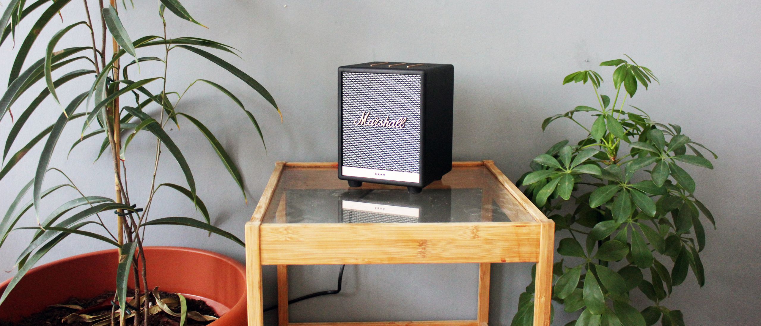 Marshall Uxbridge Voice