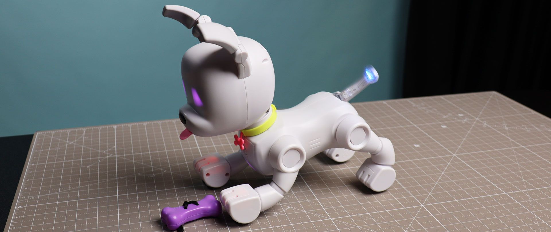 Mintid Dog-E