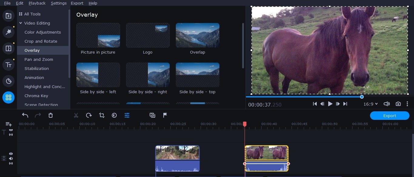 Movavi Video Suite 2021