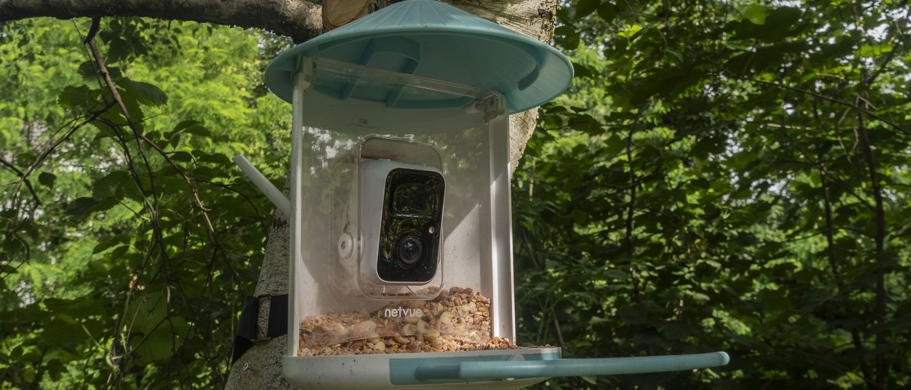 Netvue Birdfy Feeder Ai