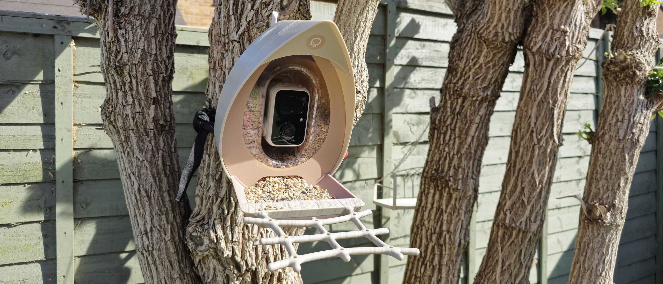 Peckperk Smart Bird Feeder Camera