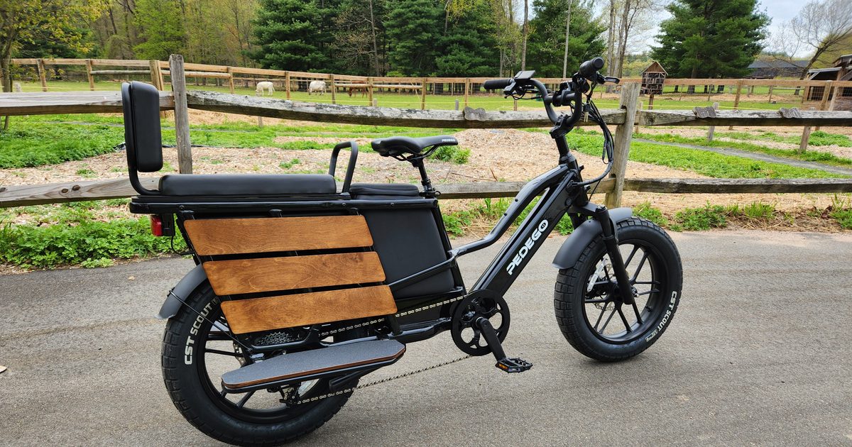 Pedego Cargo e-bike