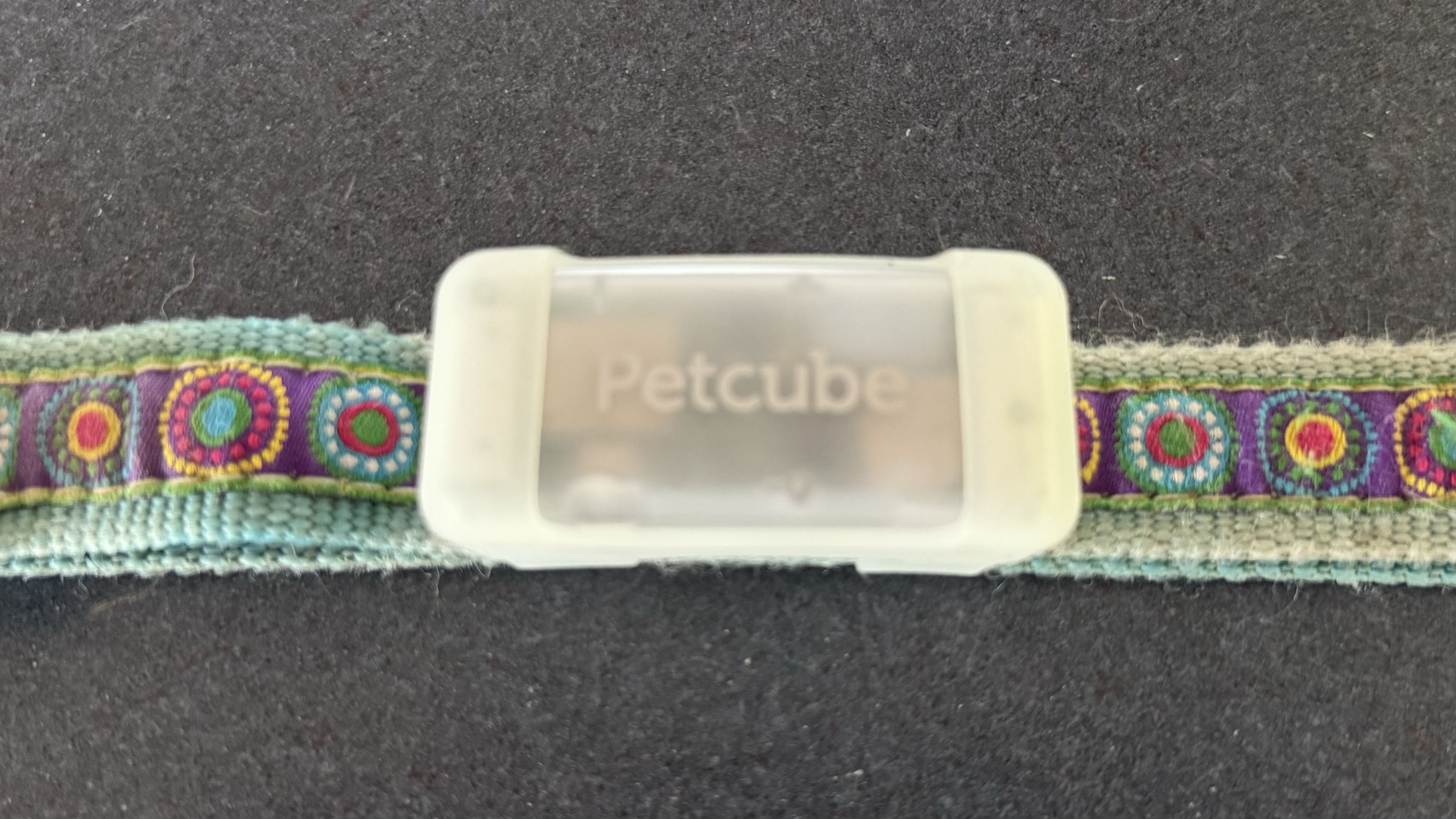 Petcube Gps Tracker