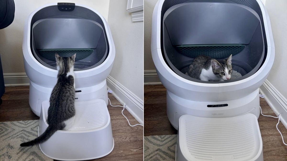Petlibro Luma Smart Litter Box