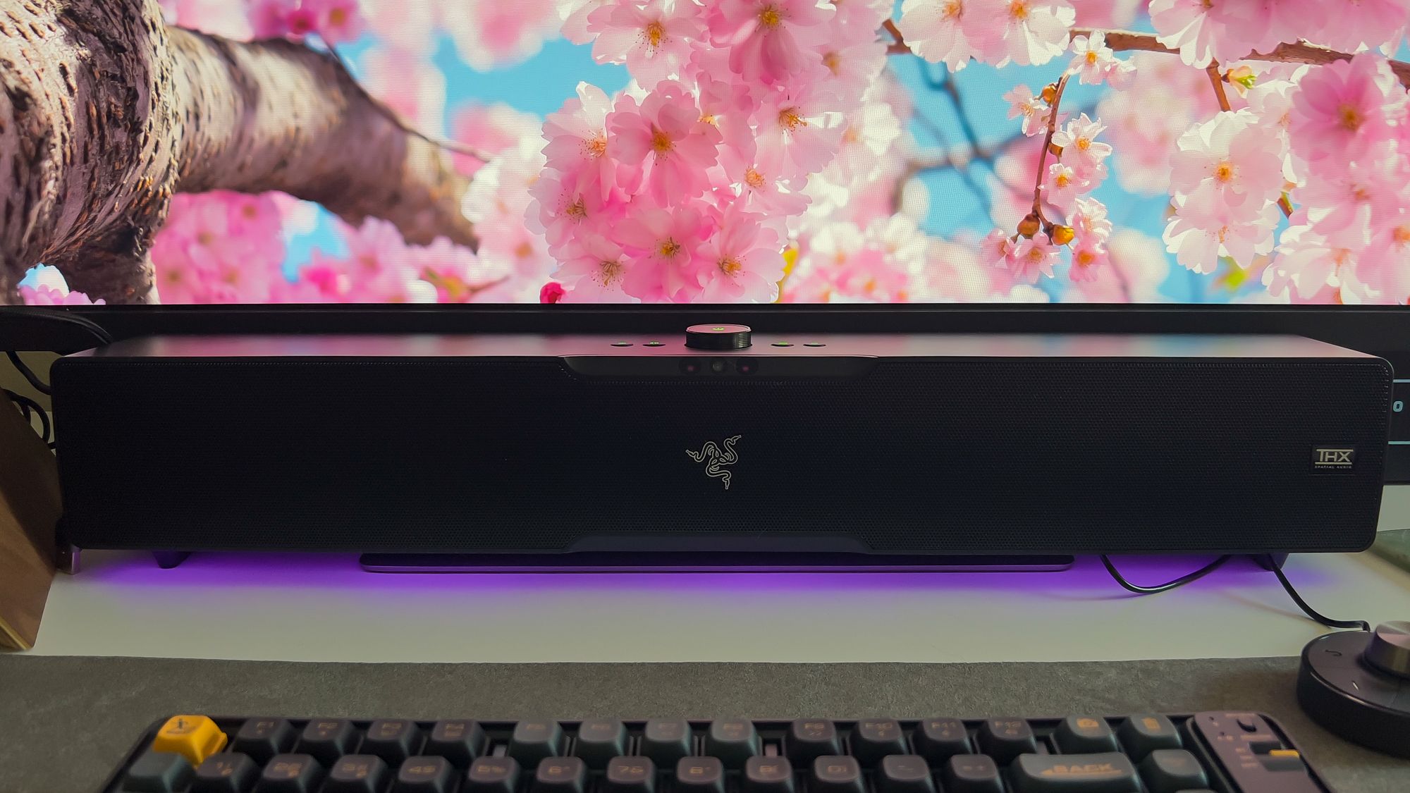 Razer Leviathan V2 Pro