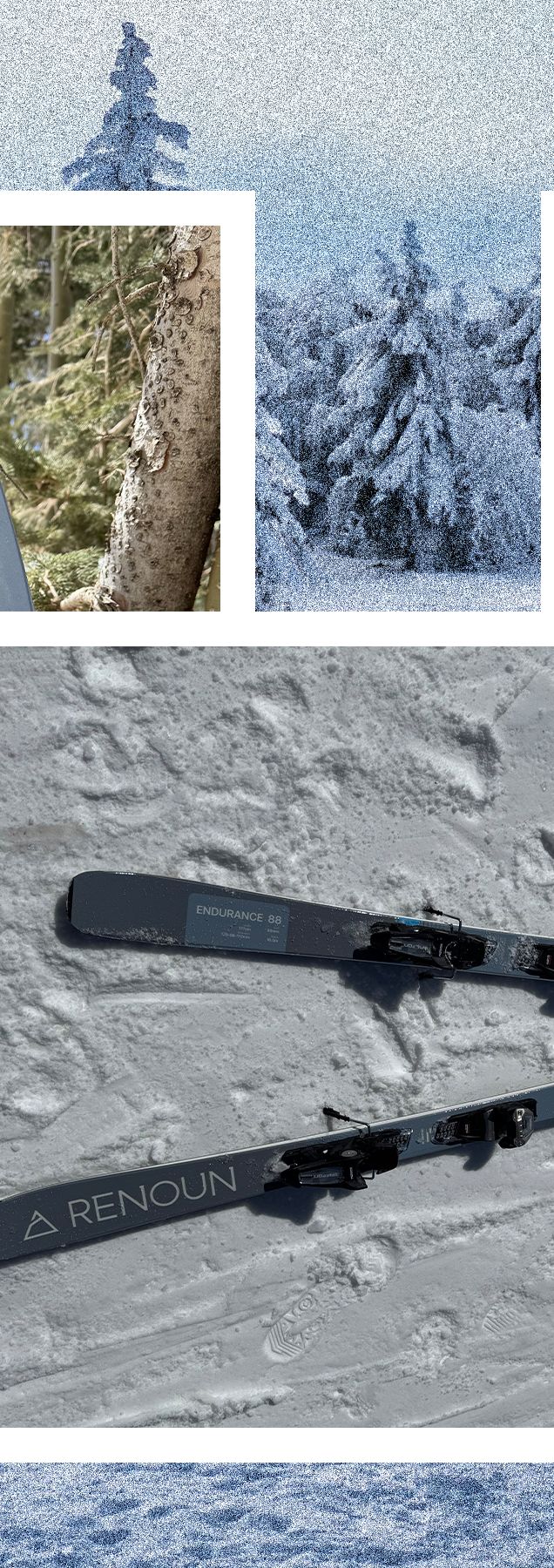 Renoun Endurance 88 Skis