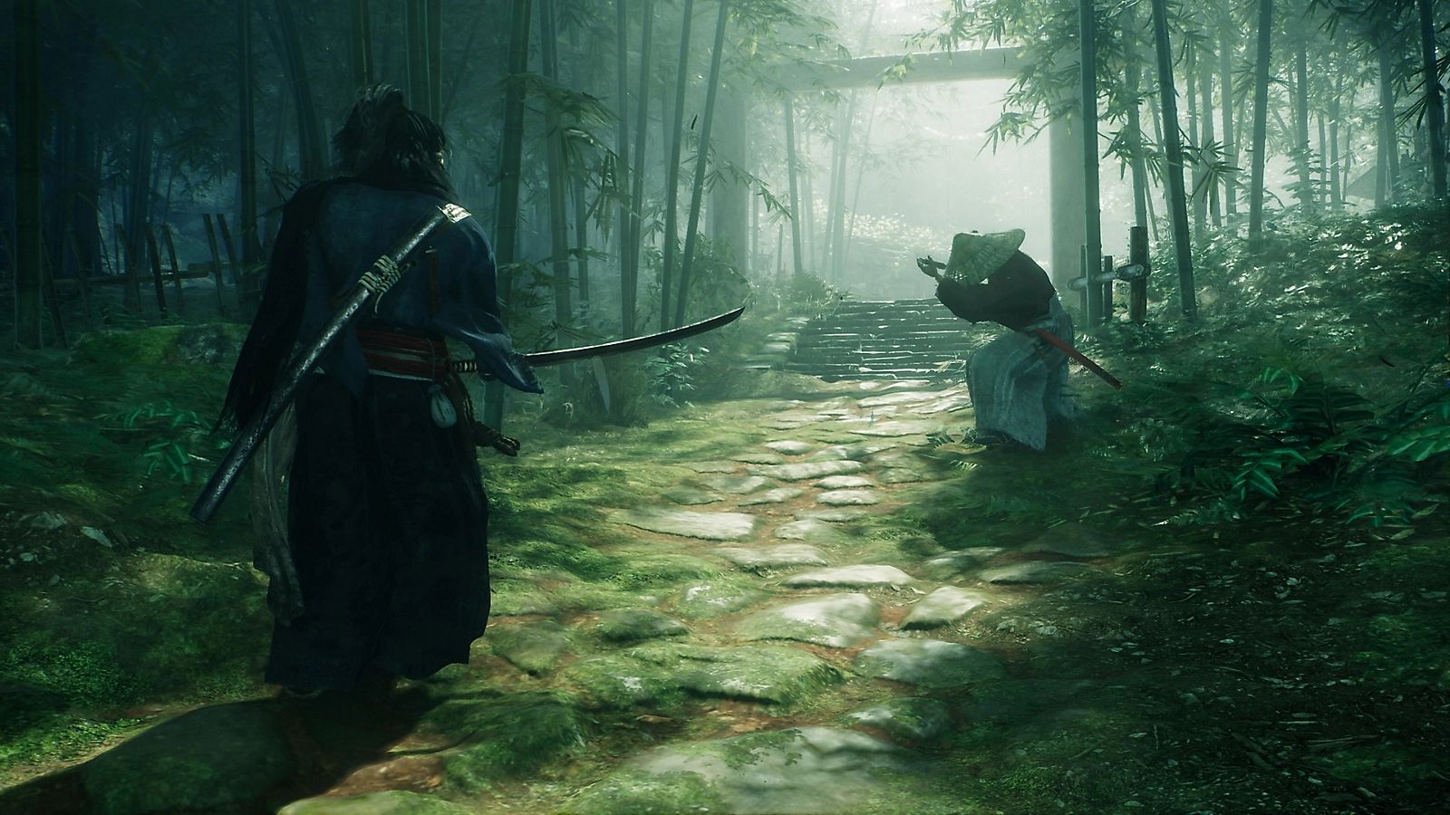 Rise Of The Ronin