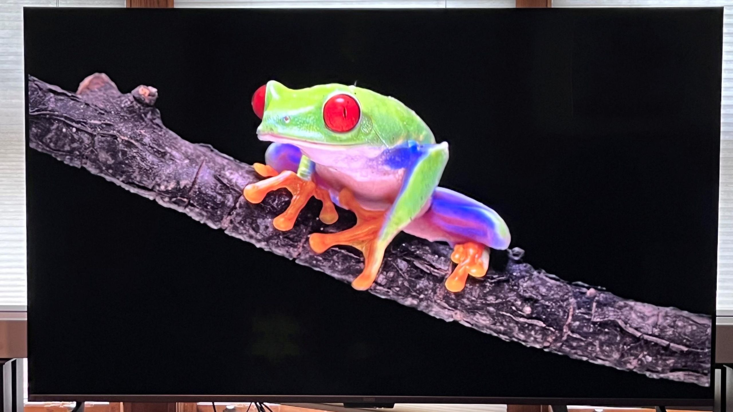 Roku Plus Series TV