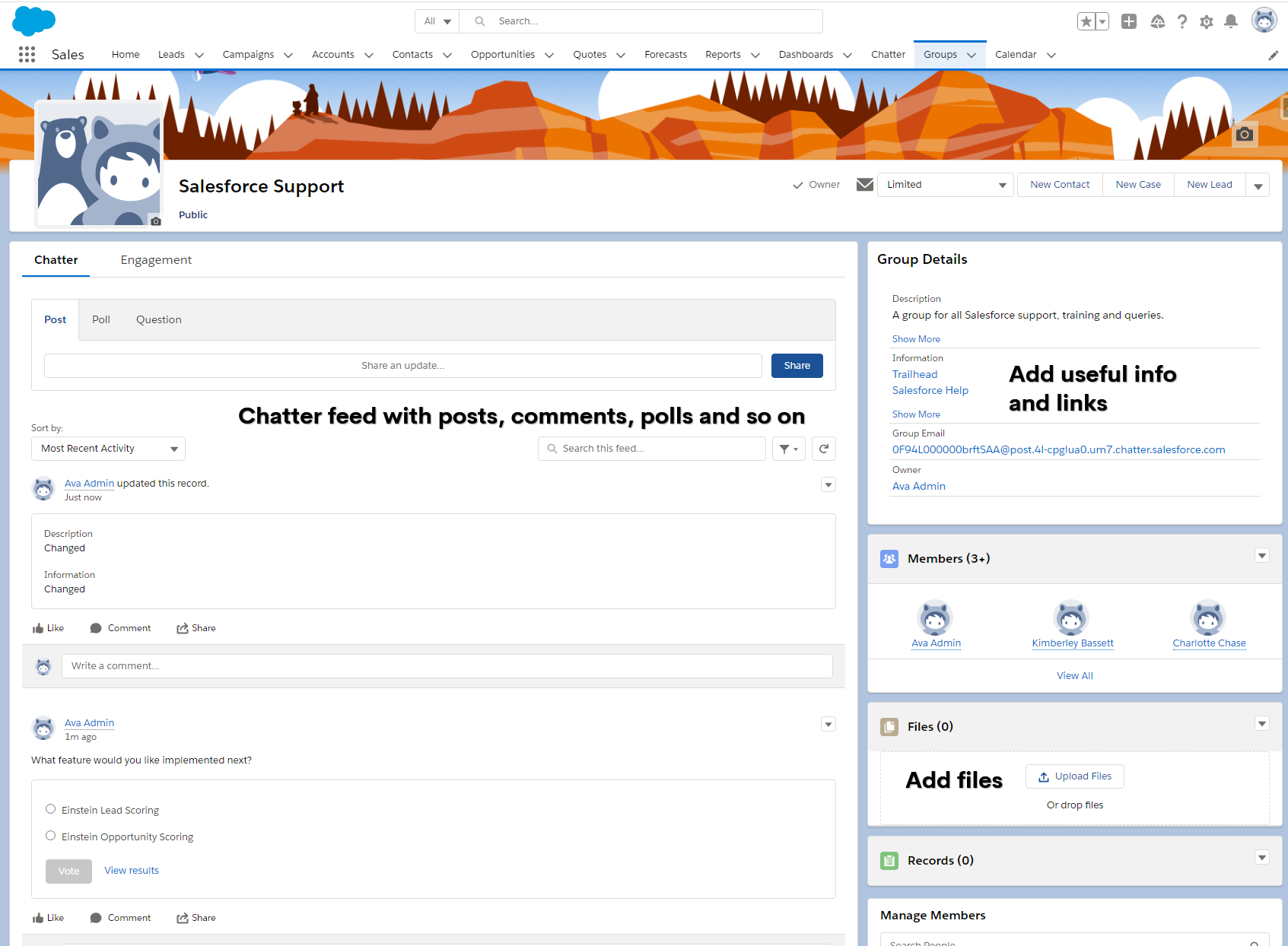 Salesforce Chatter