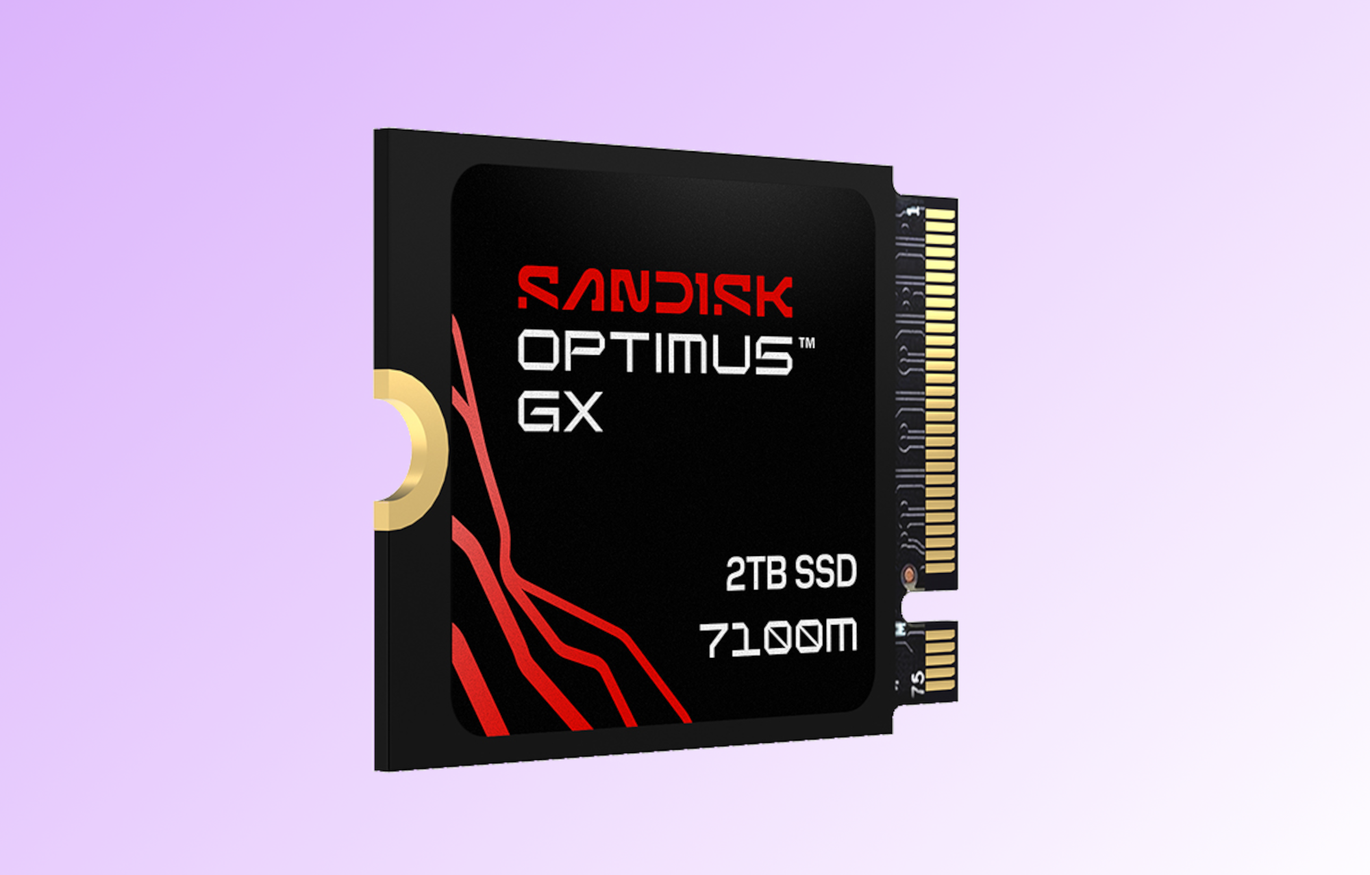 SanDisk Optimus GX 7100M NVMe SSD