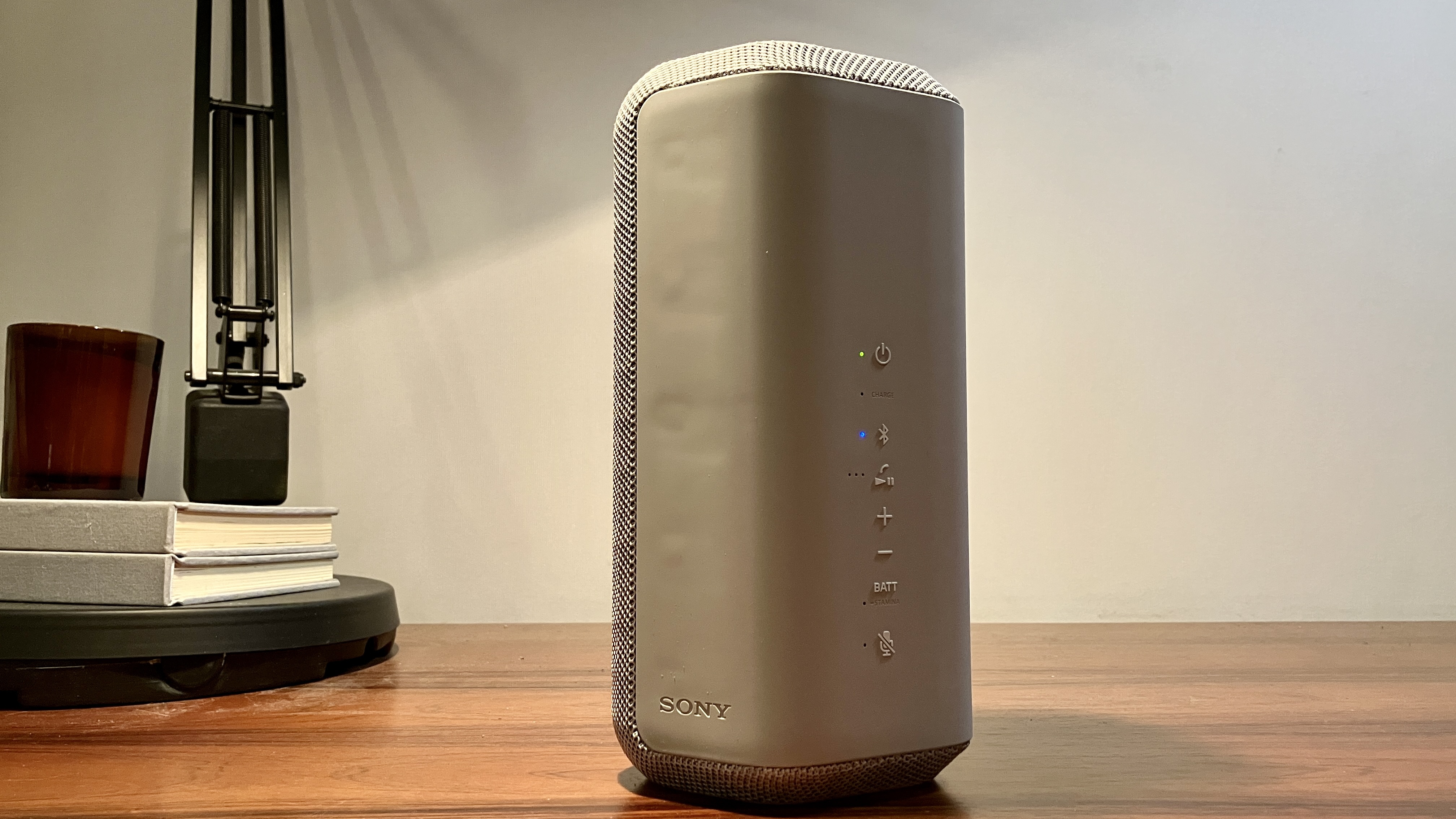 Sony SRS-XE300