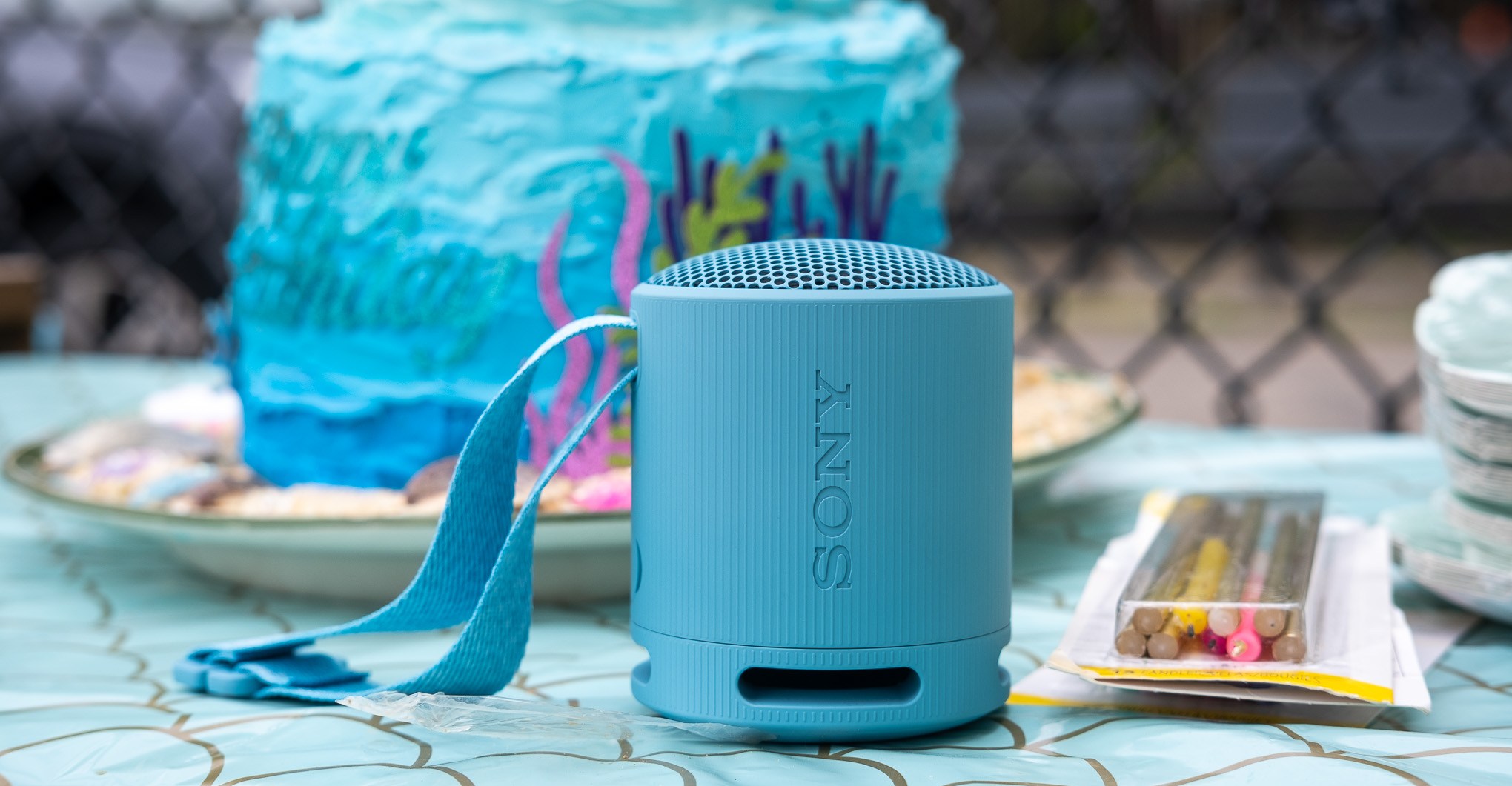 Sony SRS-XB100