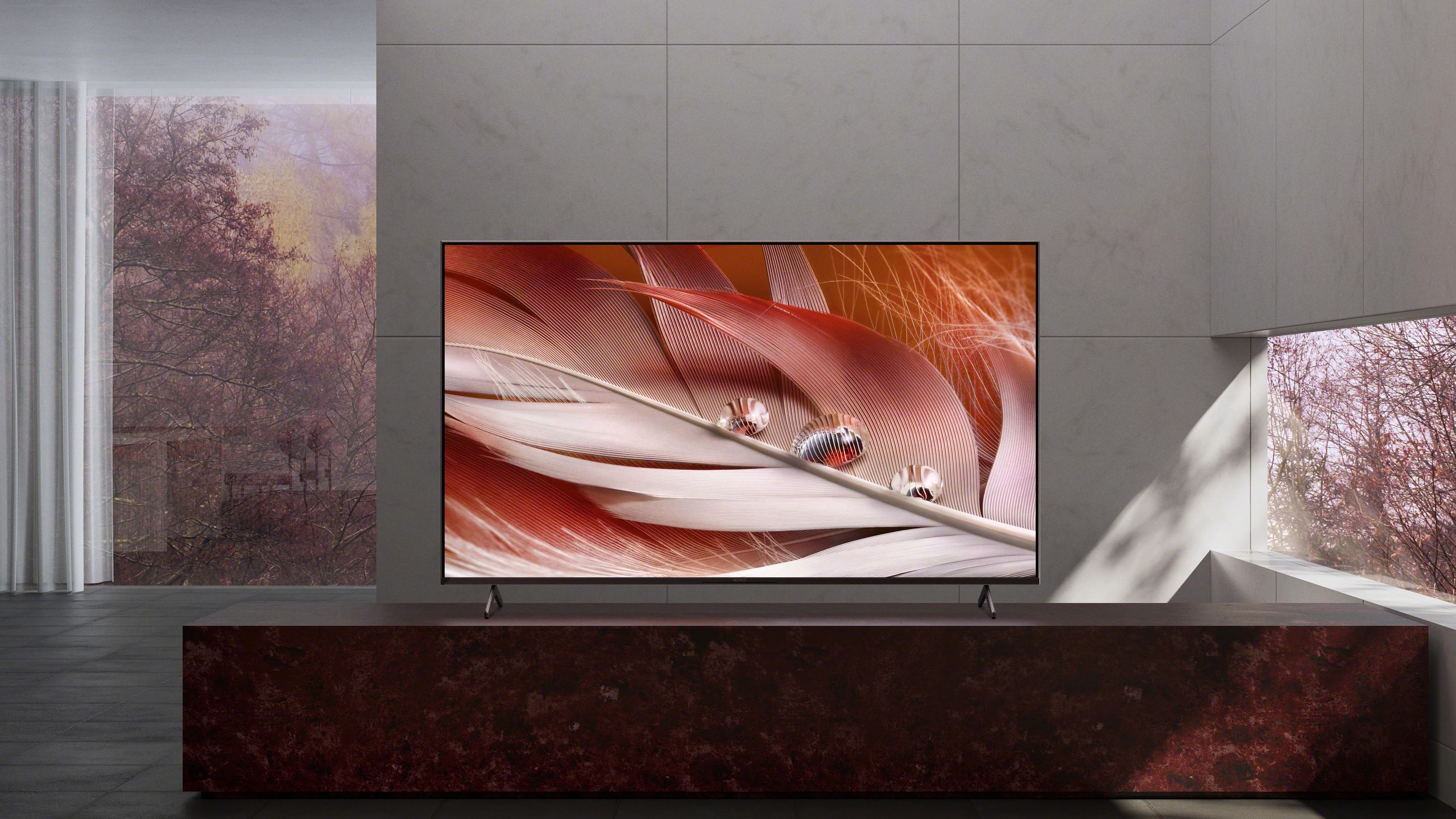 Sony Bravia X90J