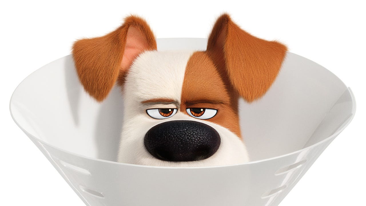 The Secret Life Of Pets 2