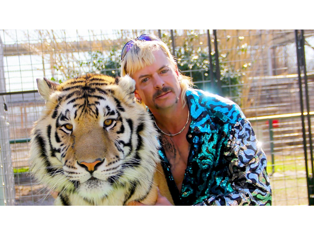 Tiger King Murder Mayhem And Madness