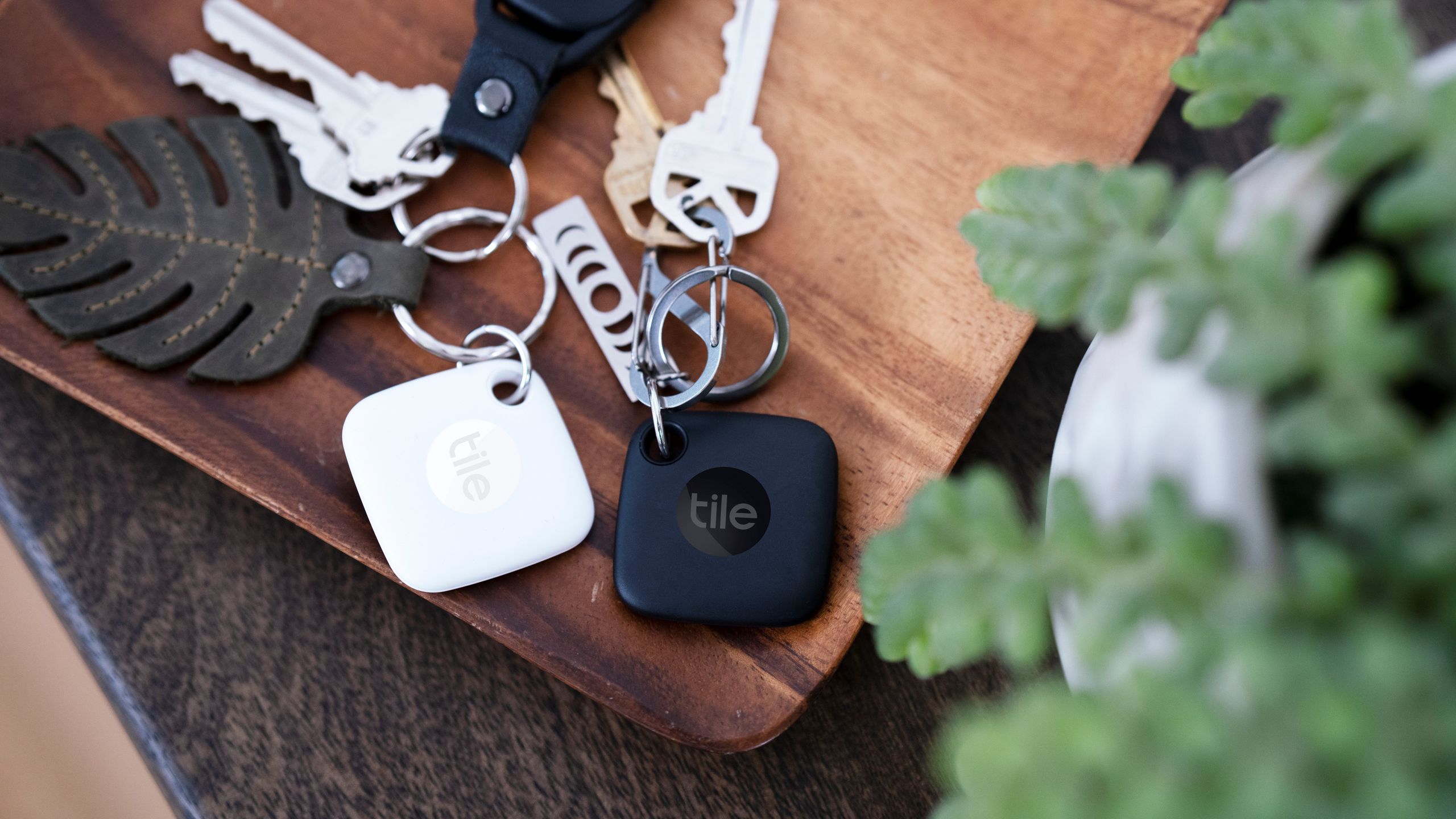 Tile Mate Tile Slim And Tile Sticker