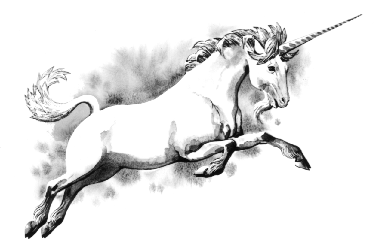 Unicorn Store