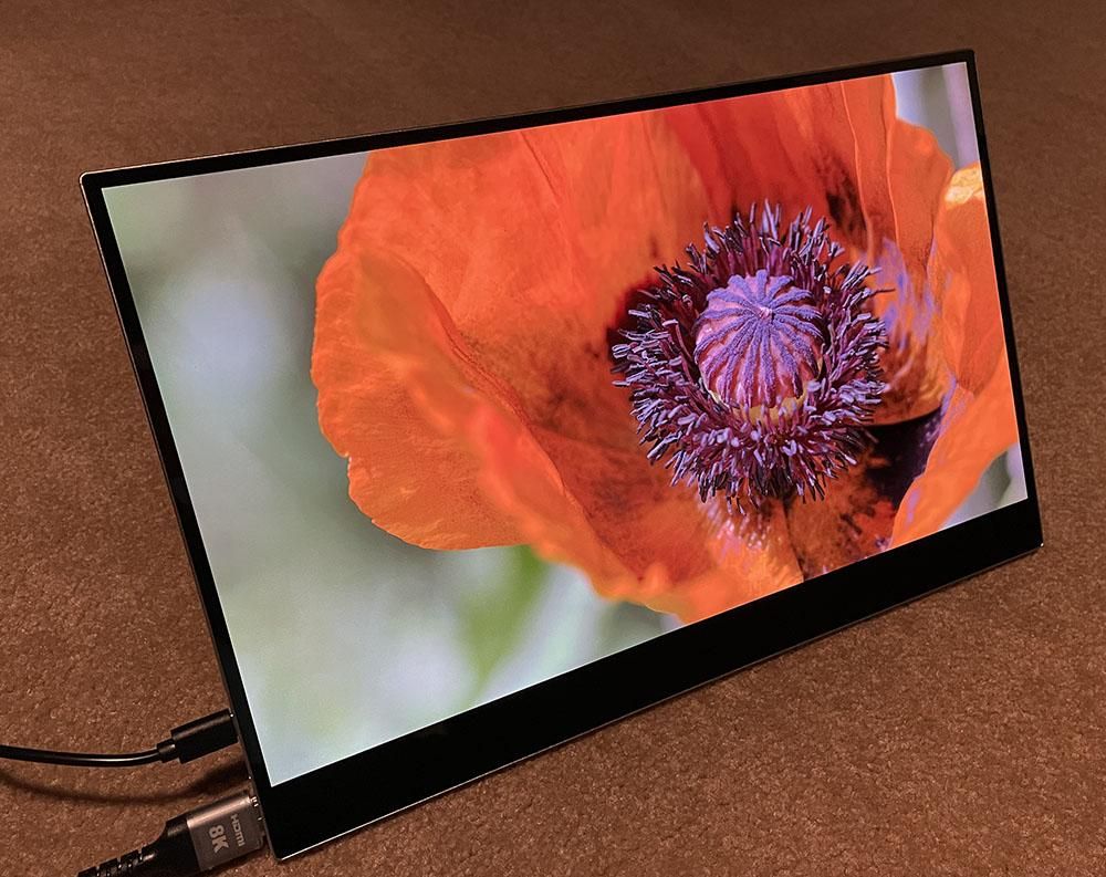 Zion Pro 15.6-INCH Amoled Portable Monitor